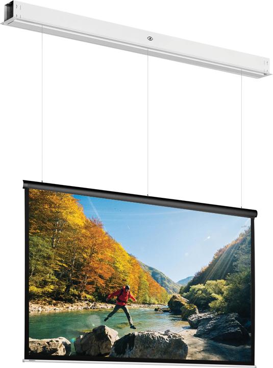 Actual product image Projecta DescenderPro (85.83", 16:9)