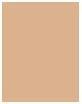 Actual product image Bourjois Healthy Mix Clean & Vegan Radiant Foundation (51W Light Vanilla)