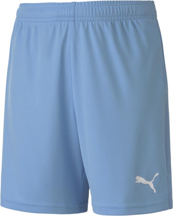 Puma teamGOAL 23 knit Shorts jr-704263