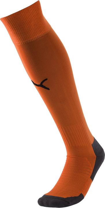Actual product image Puma Team LIGA Socks CORE-703441 (47 - 49)