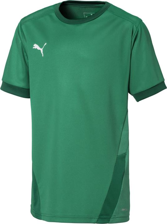 Immagine prodotto Puma Maglia teamGOAL 23 jr-704160 (152)