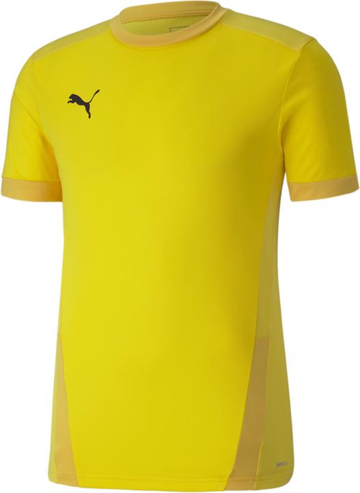 Puma teamGOAL 23 Jersey-704171 (L)