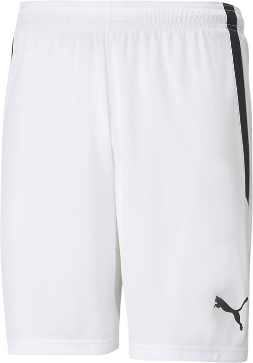 Puma teamLIGA Shorts-704924 (60)