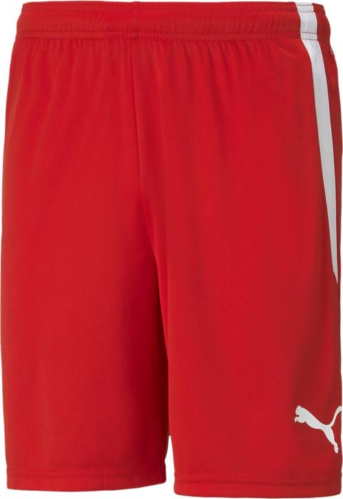 Puma teamLIGA Shorts-704924