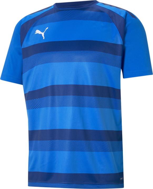Produktbild Puma teamVISION Jersey-704921 (S)