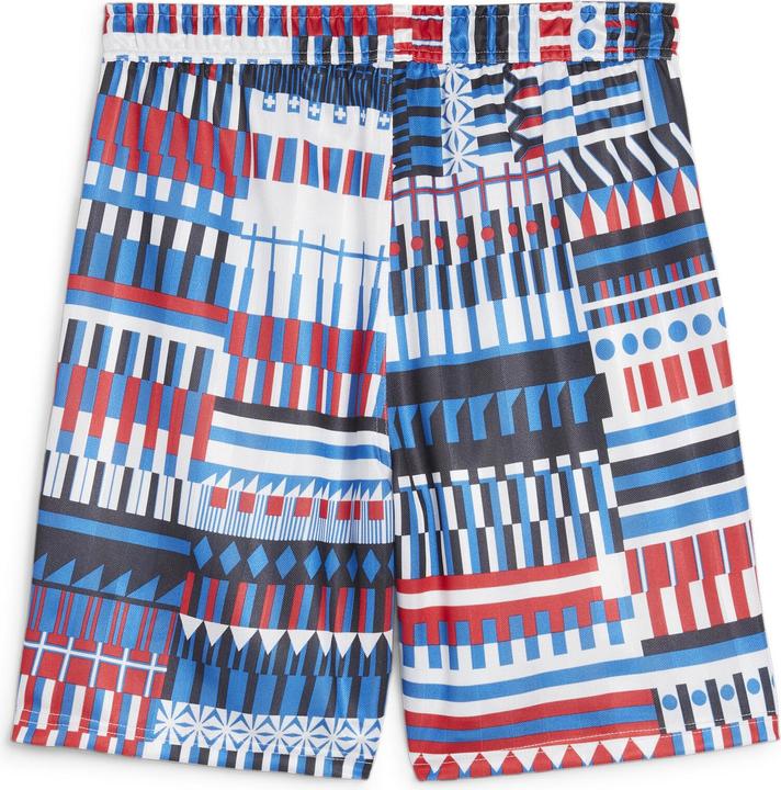 Actual product image Puma FanwearCapsule Shorts (M)