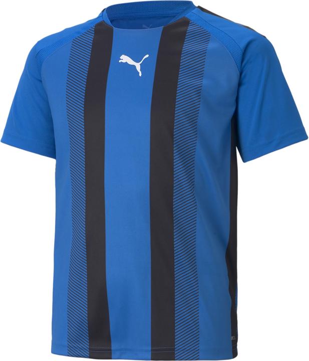 Actual product image Puma teamLIGA Striped Jersey Jr-704927 (176)