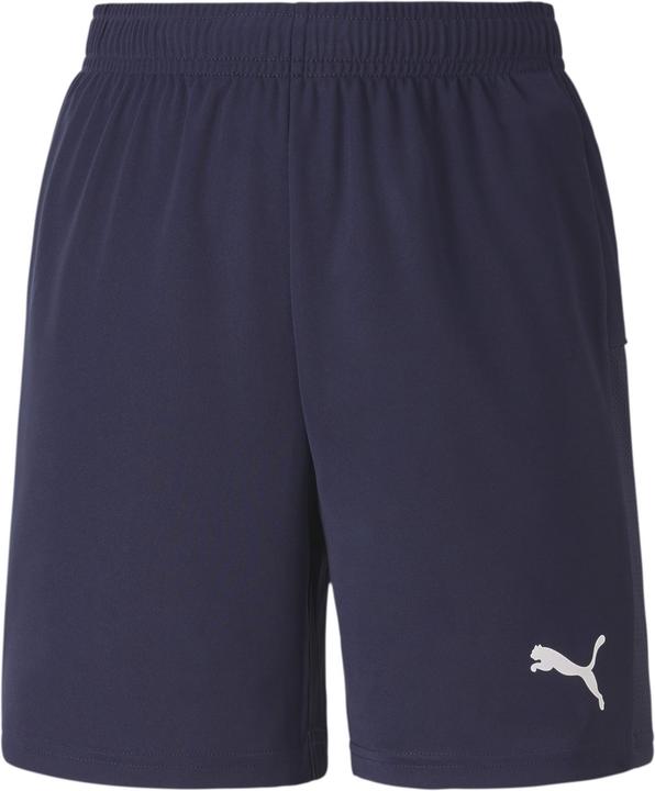 Image du produit Puma Short en tricot teamGOAL 23 jr-704263 (140)