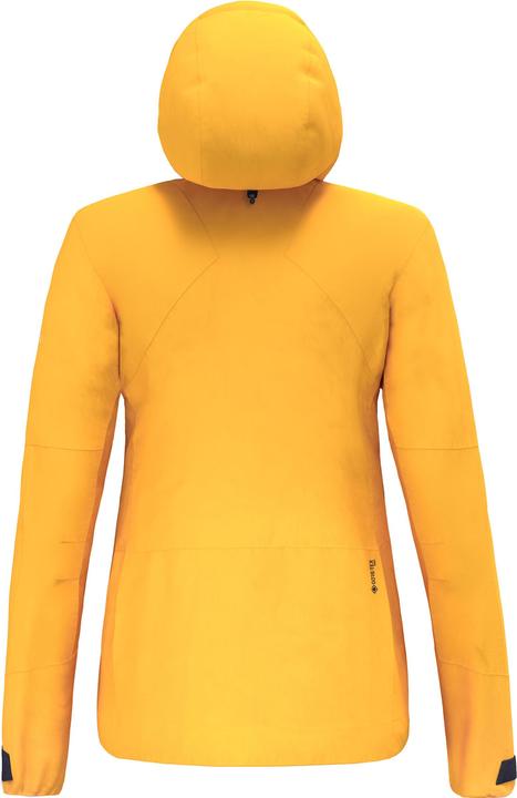 Image du produit Salewa Veste Ortles Gtx Pro W (42)