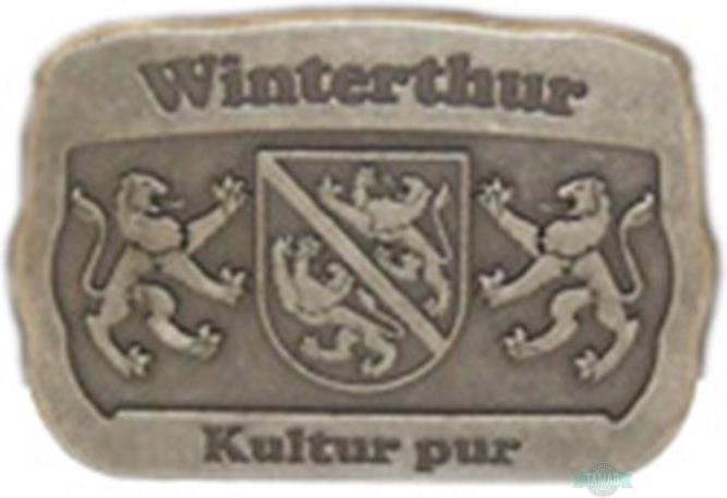 Produktbild Tamar Gürtel mit Schnalle Winterthur 105cm Gurtlänge (105)