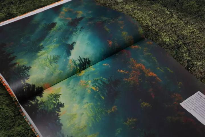 Produktbild Bäume - Eine Natur- und Kulturgeschichte (Deutsch, Andrew Mikolajski, Michael Scott, Keith Rushforth, Dr. Ross Bayton, Agnes Pahler, 2022)