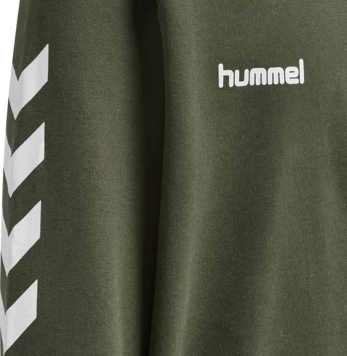 Image du produit hummel Go Kids Hoodie En Coton (116)