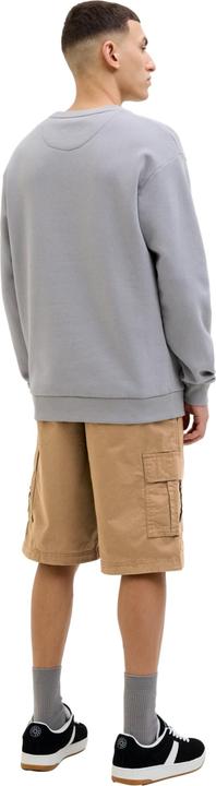 Produktbild Jack & Jones Shorts JPSTCOLE MATEO Cargoshorts (XL)