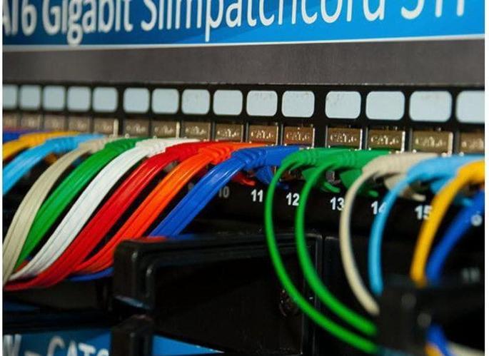 Actual product image Wirewin Network cable (F/FTP, CAT6, 0.50 m)