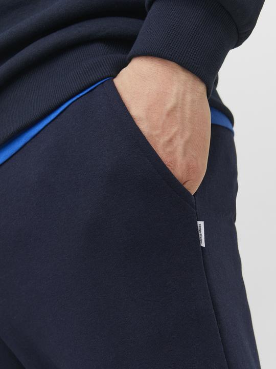 Actual product image Jack & Jones Gordon Bradley Sweatpants (L)