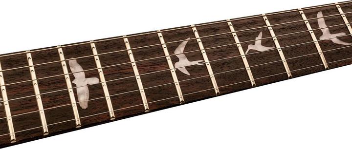 Image du produit PRS SE Santana (Guitare électrique, Palissandre, acajou, érable)