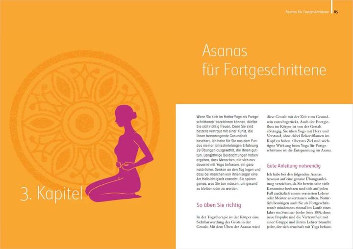 Image du produit Heilkraft Yoga. 100 Übungen für Ihre Gesundheit. Empfohlen von der Deutschen Yogagesellschaft e.... (Allemand, Sigmund Feuerabendt, 2022)