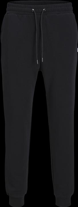 Actual product image Jack & Jones Gordon Bradley Sweatpants (XXL)