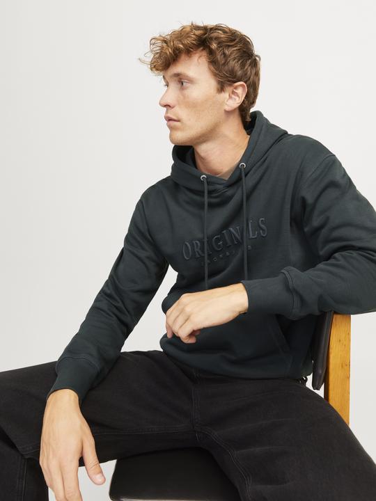 Immagine prodotto Jack & Jones Jorfrederiksberg Sweat Hood Sn (XS)