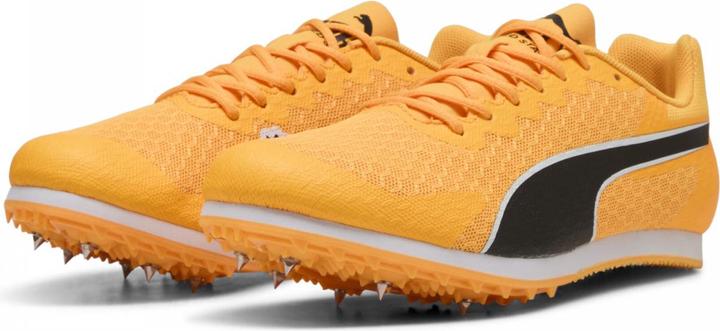 Produktbild Puma evoSPEED Star 9 Junior (37.5)