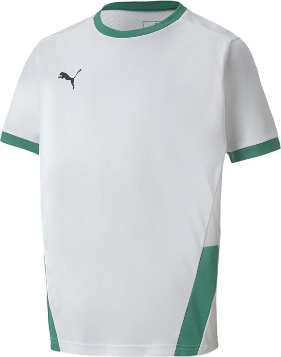 Actual product image Puma teamGOAL 23 Jersey jr-704160 (140)
