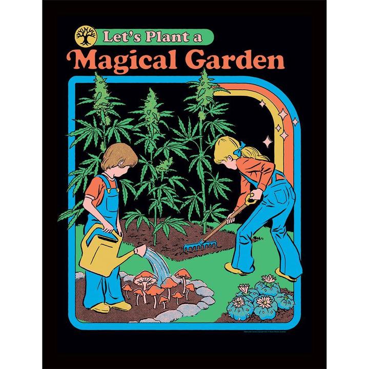 Immagine prodotto Steven Rhodes Let's Plant A Magical Garden Poster Incorniciato (40 x 30 cm)