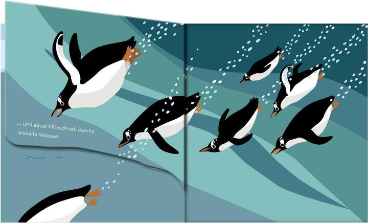 Image du produit Baby Pixi (incassable) 142 : Flippediflapp : Les animaux de la mer (Allemand)
