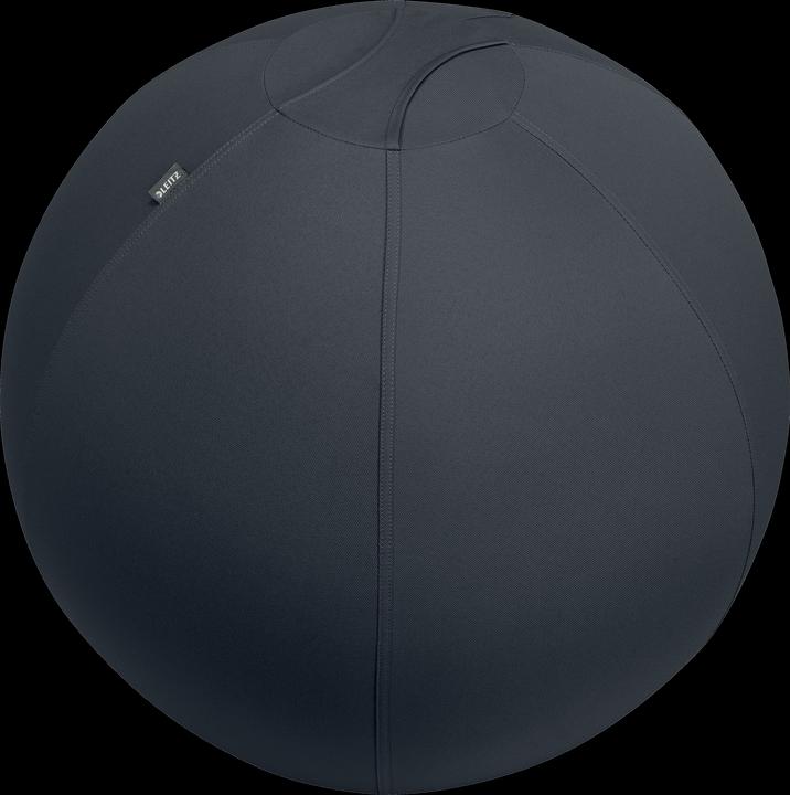 Image du produit Leitz Ergo Active (75 cm)