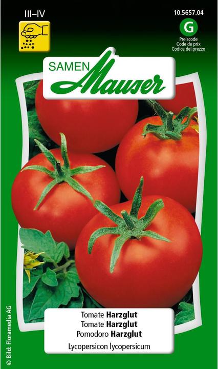 Immagine prodotto Samen Mauser Pomodoro resina bagliore (Semi di verdura)