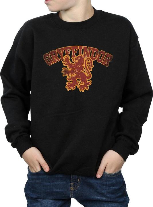 Produktbild Gryffindor Sport Emblem Sweatshirt Jungen (152, 158)
