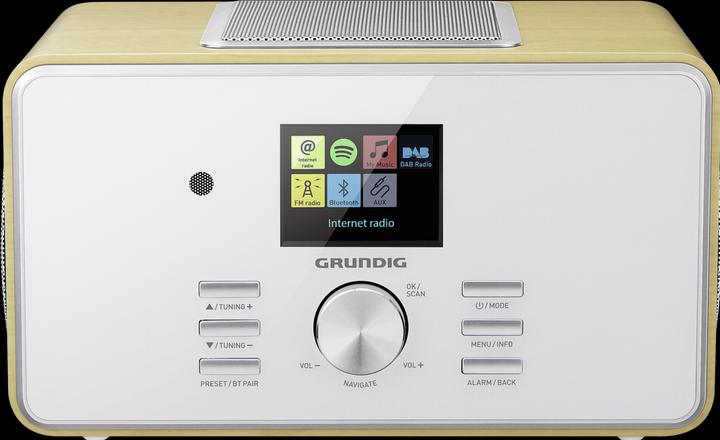 Immagine prodotto Grundig DTR 6000 2,1 BT DAB+ WEB (Web radio, DAB, FM, WiFi, Bluetooth)