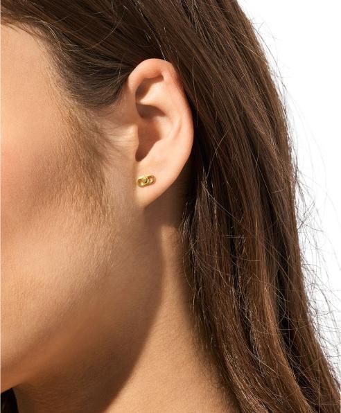 Image du produit Michael Kors Boucles d'oreilles Premium (Argent 925)