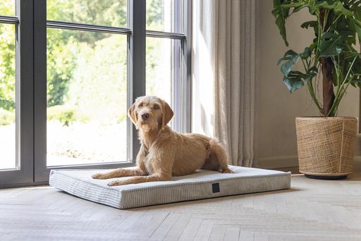 Image du produit Designed by Lotte Coussin pour cage Orthopaed Ribbed (Chien)