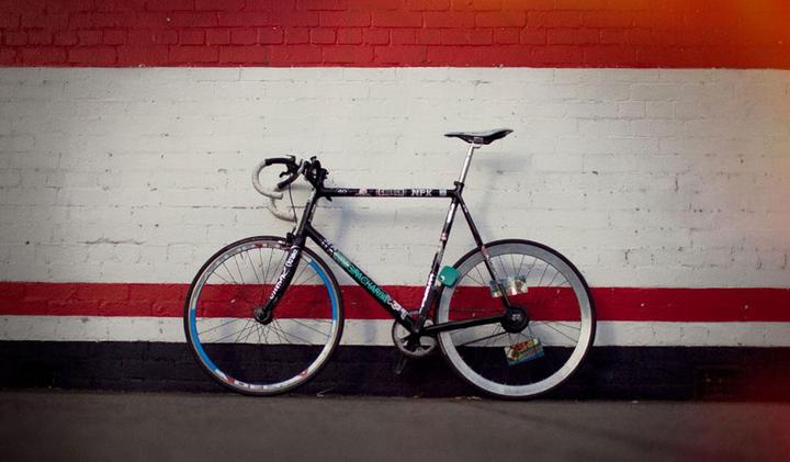 Immagine prodotto knog. Lattaio (90 cm)