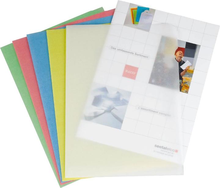 Actual product image Elco Transparent pockets Ordo (A4, 100 x)