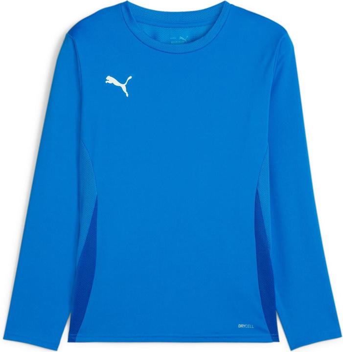 Actual product image Puma teamGOAL LS Jersey Jr (152)