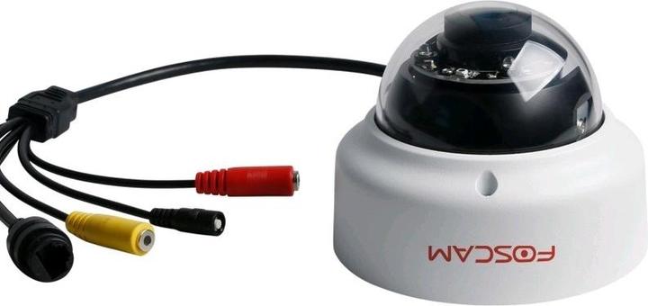 Immagine prodotto Foscam D2EP Security Camera IP Security Camera Indoor & Outdoor Dome Ceiling/Wall 1920 x 1080 Pixel (1920 x 1080 Pixels)