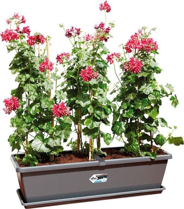 Actual product image Elho Barcelona (25 cm)