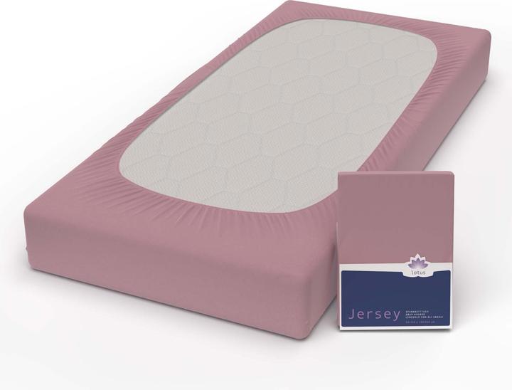 Immagine prodotto Lotus Bettwaren Jersey Fix Comfort (180 x 200 cm)