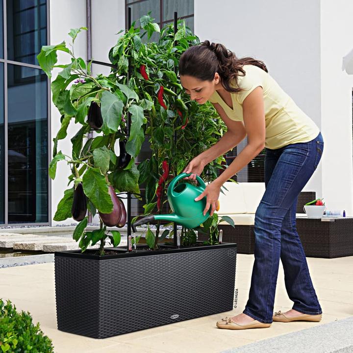 Image du produit Lechuza Trio Cottage (32 cm)