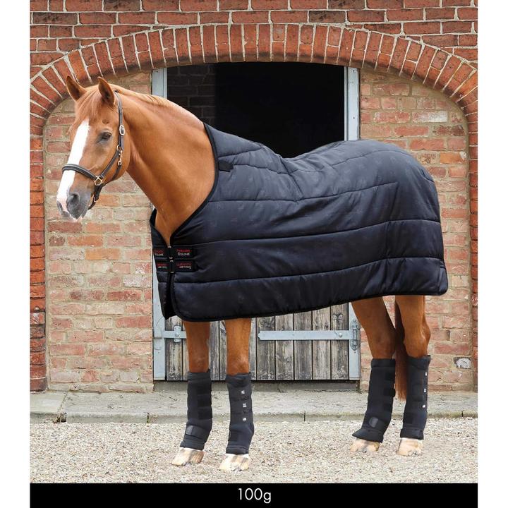 Actual product image Premier Equine undercover lucanta 100 g (152 cm)