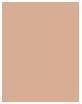 Actual product image L'Oréal Paris true match (C3 Rose Beige)