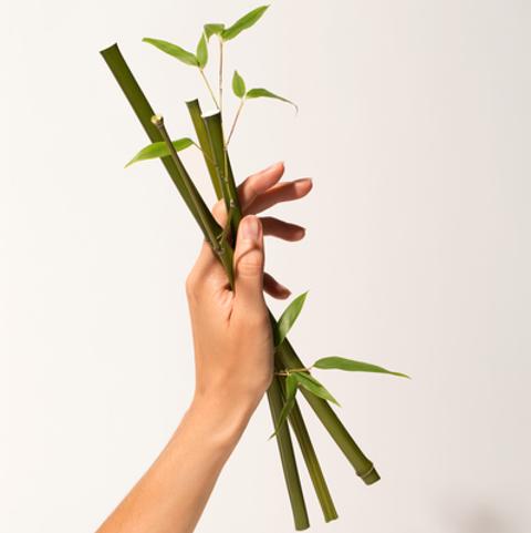 Actual product image Erborian Bamboo Waterlock (80 ml)