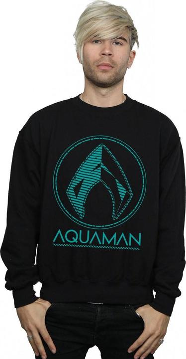 Produktbild Aquaman Aqua Logo Sweatshirt (L)