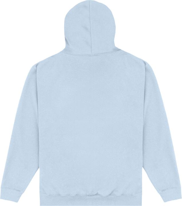 Actual product image Park Fields Unisex Adult Shield Hoodie (M)