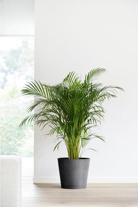 Image du produit Ecopots Venise (40 cm)