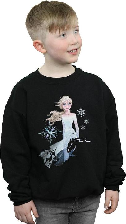 Immagine prodotto Disney Frozen 2 Elsa Nokk Silhouette Felpa Ragazzi (140, 146)