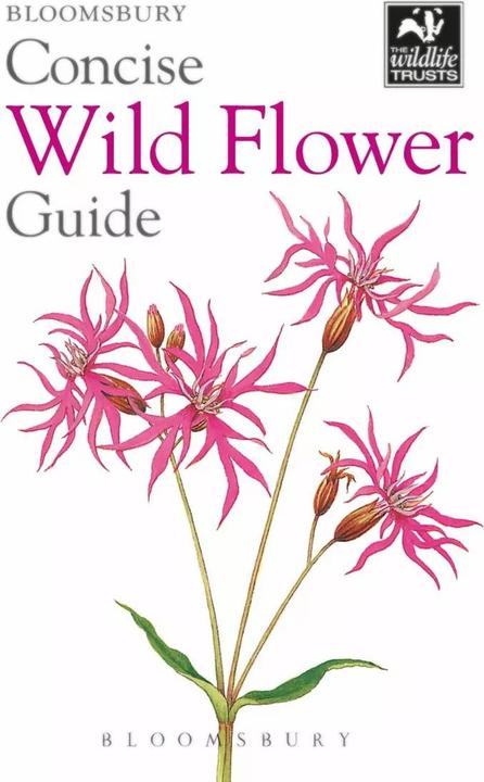 Produktbild Concise Wild Flower Guide (Englisch, Bloomsbury, 2018)