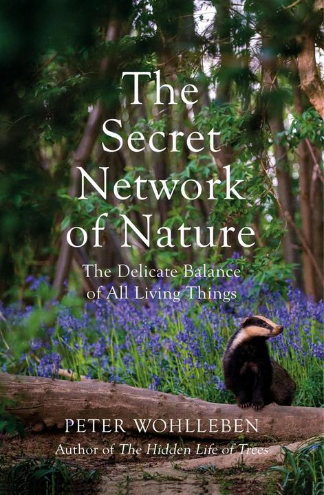 Image du produit Le réseau secret de la nature (Peter Wohlleben, Anglais)