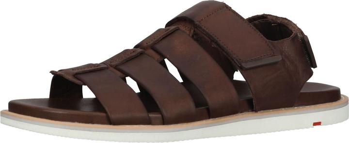 Actual product image Lloyd Elimar (43)